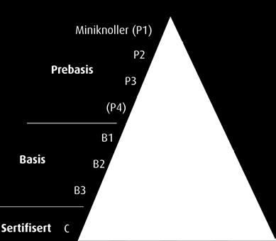 Meristemformering er en plante som vokser opp fra et meristem (vekstpunkt og bladanlegg) på spesielle næringssubstrat som en adskilt enhet (kalt klon) i laboratorie.