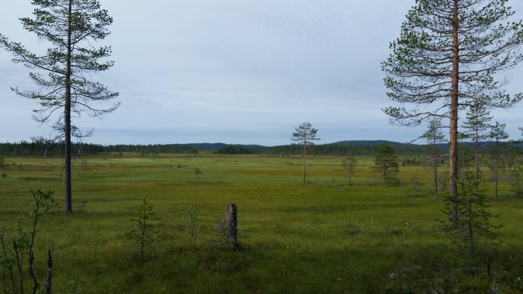 Bilder fra området Skjeftkjølen Store