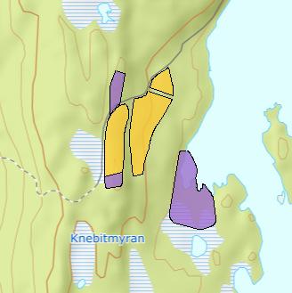 OMRÅDE: Hornsjøen N55a-c Hornsjøen med omegn Gbnr 131/3 Innspill: 5 Dagens formål: LNF Foreslått formål: Næring Arealstørrelse: 26 daa Moh.