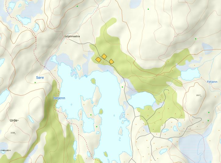 OMRÅDE: Tempelseter H51- Istjenn_1 Gnr 147/22,23,24 Innspill: 3 Dagens formål: LNFR Foreslått formål: Fritidsboliger Arealstørrelse: 3 daa Moh.