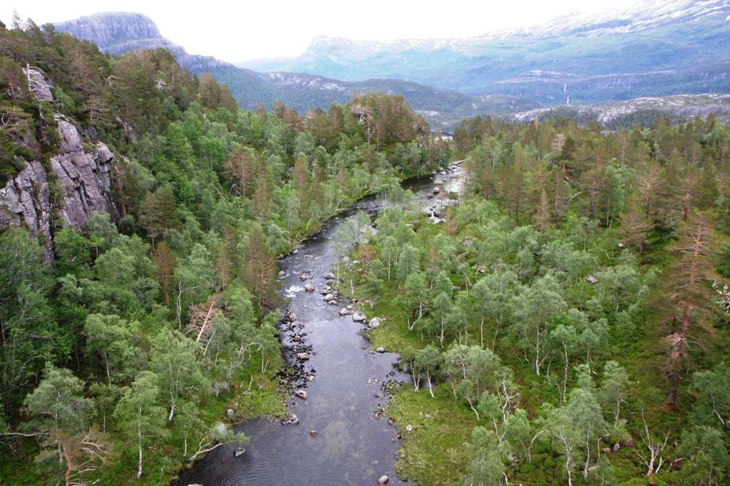 Bilete 3 Utløpet av Hestedalsvatnet sett frå