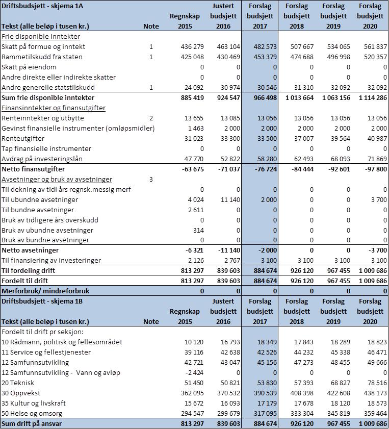 Driftsbudsjett 2017 (Budsjettskjema