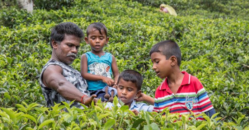 Beskrivelse og gjennomføring: I år har vi blitt deltatt i Forut`s barneaksjon der vi har møtt Sivatas og familien hans som bor på Sri Lanka.