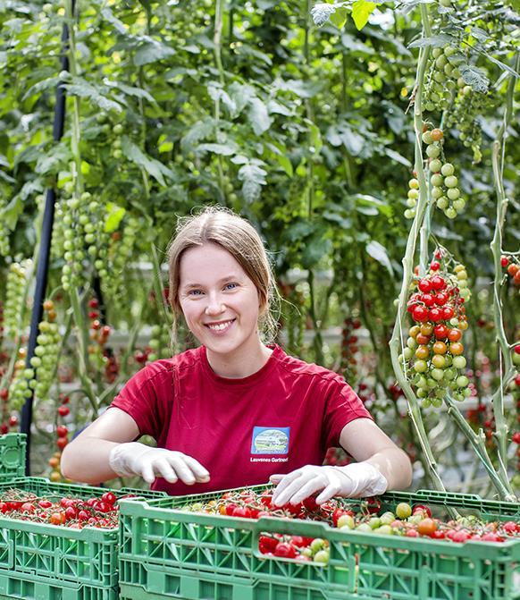 Foto: Elisabeth Tønnessen Omstilling Jordbruk, havbruk og industri har stadig måttet finne nye næringsveier.