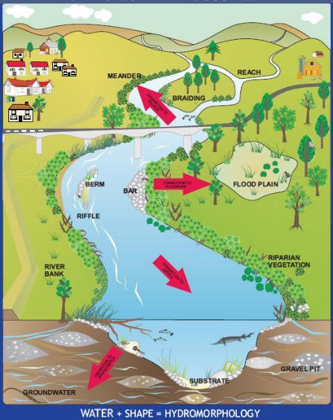 Hydromorfologiske egenskaper Hydrologiske forhold vannføring Vannmengde Endringer: lavvann, tørrlegging Flom Kobling til grunnvann Kontinuitet i elv -