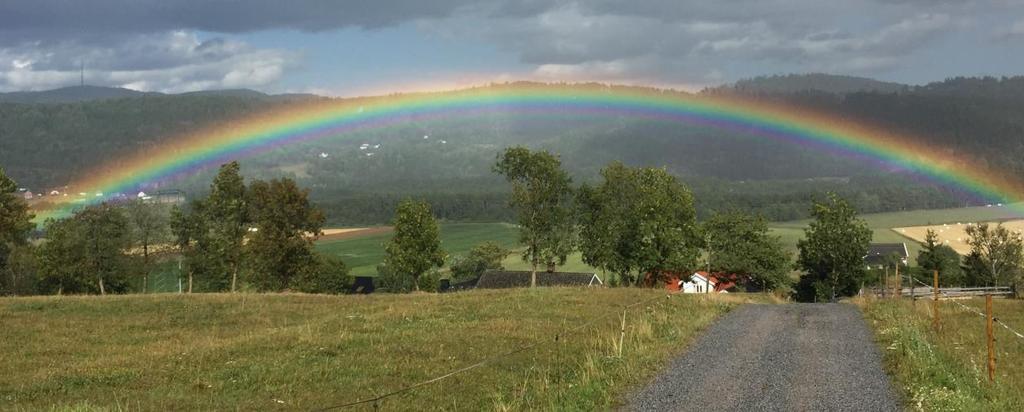 Mål og verdier Målet for Læringsverkstedet Solkollen er å være en del av den gode barndom med forankring i kristne grunnverdier, og et inkluderende og utviklende fellesskap.