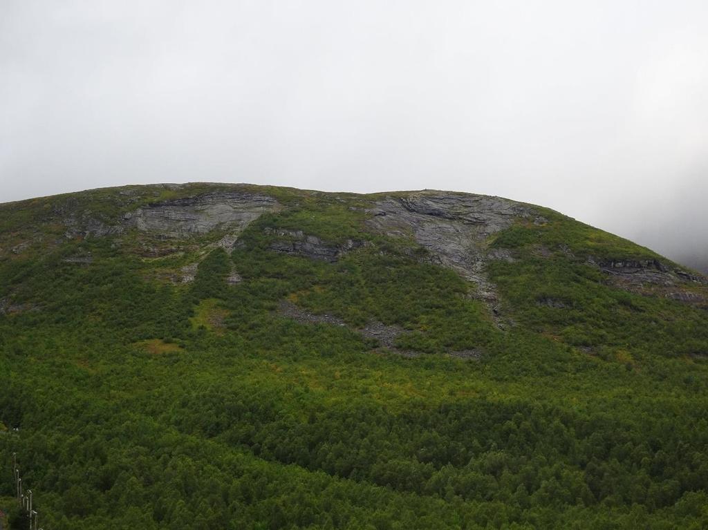 Figur 5: Bilde av øvre del av fjellsiden som er brattest opp mot Kollen.