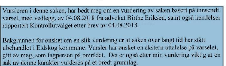 Beskrivelsene som fremgår av eventuelle samtaler med varsler og dennes kollegaer vil utgjøre det mest sentrale faktagrunnlaget ved en eventuell undersøkelse.