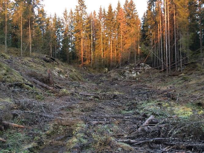 5 Fjell i kanten av skråningene på begge sidene, i mellom finnes det