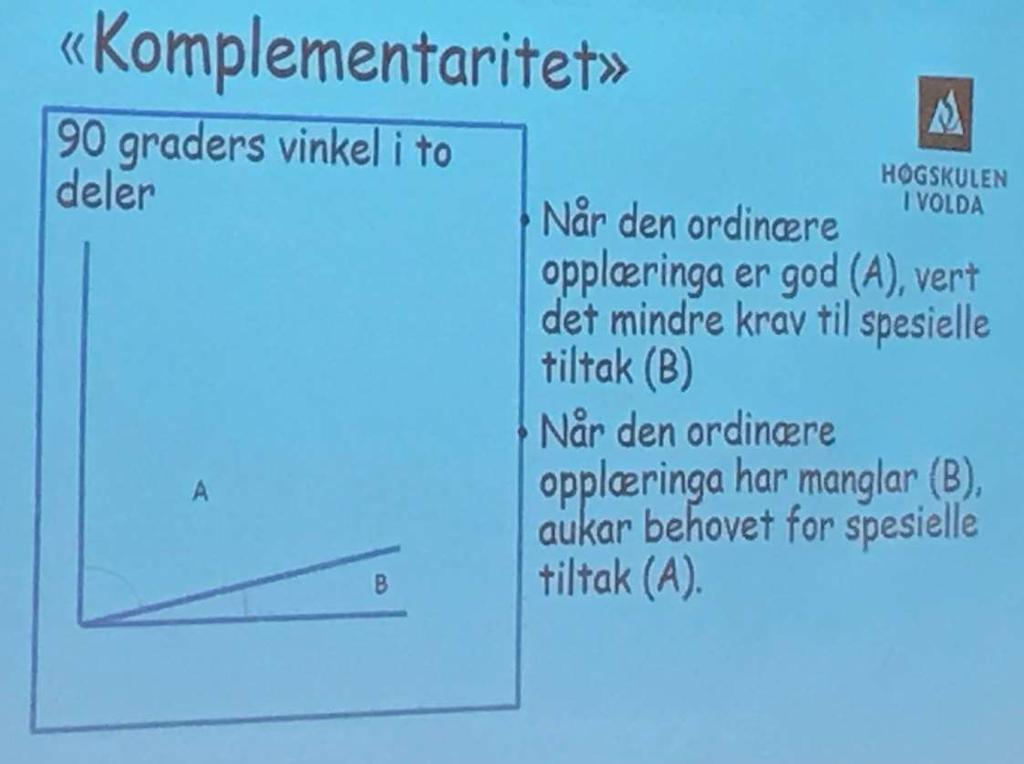 Komplementær forståelse av undervisning Manglende utbytte av den ordinære opplæringa er hovedkriteriet for å få spesialundervisning.