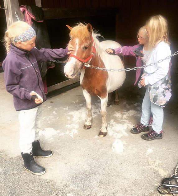 KNØTTEKURS 3-7 åringer. For de minste har vi knøttekurs.