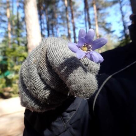 Kom, mai, du skjønne, milde, gjør skogen atter grønn, og la ved bekk og kilde fiolen blomstre skjønn! Hvor ville jeg dog gjerne at jeg igjen deg så!