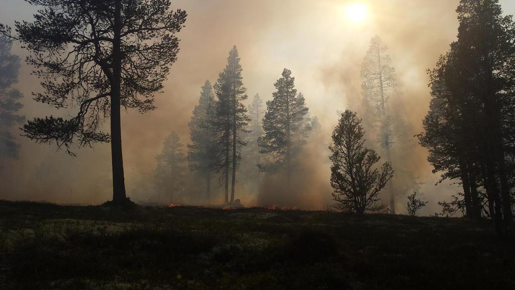 Foto: Arnfinn Frengstad Stategiske valg sommeren 2018 1.