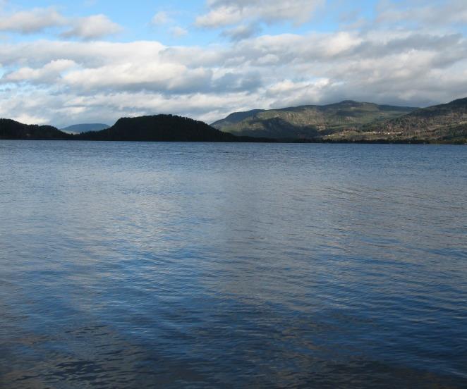 Innhold Bakgrunn og mål med ØKOSTOR-programmet Organisering Hvilke innsjøer er med? Hva er spesielt med store innsjøer? Hva overvåkes og hvordan? Hva viser resultatene så langt?
