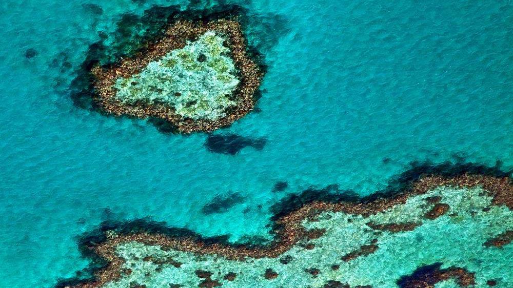 Cairns startpakke En perfekt start på din rundreise i Australia.