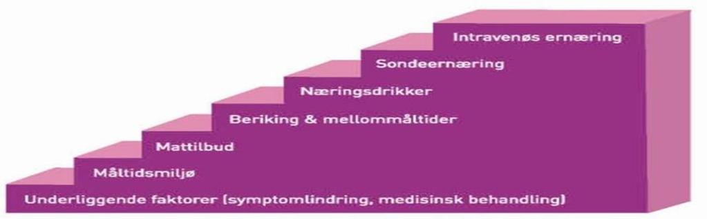 Oppsummering Kartlegging Vurdering Handling Evaluering Systematisk jobbing (bruk ernæringstrappen)