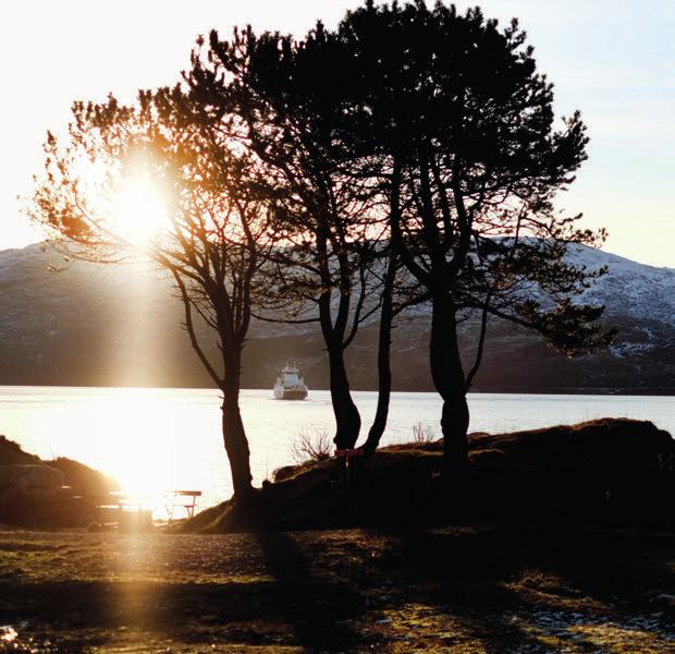 OM FJORD1 ASA STRATEGI SAMFUNNS- ANSVAR AKSJONÆR- INFORMASJON ÅRSMELDING OG REKNESKAP ETTERLEVING Fjord1 ser på eigarstyring og selskapsleiing som eit viktig emne som tek for seg forholdet mellom