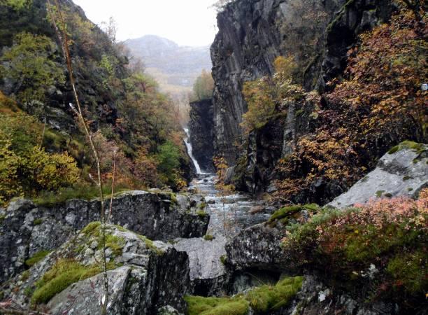 Konklusjon Samlet sett vurderes forvaltningsområdet Brådlandsfossen til å verdisettes som nasjonalt verdifull ( A i naturtypesammenheng) verdi 5 (tabell 3).