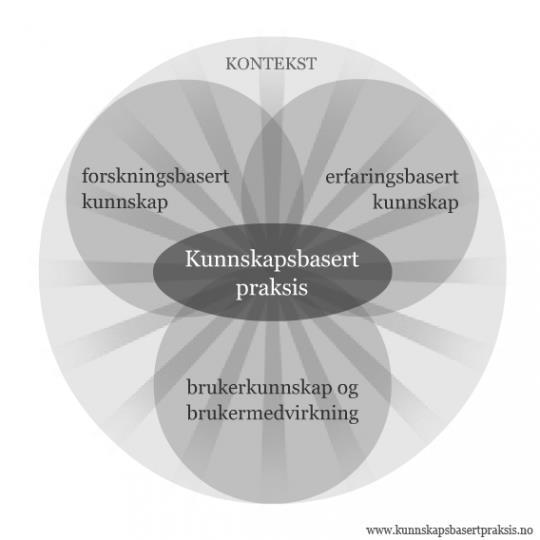 Mål for ernæringsnettverk Sikre systematisk ernæringsarbeid,