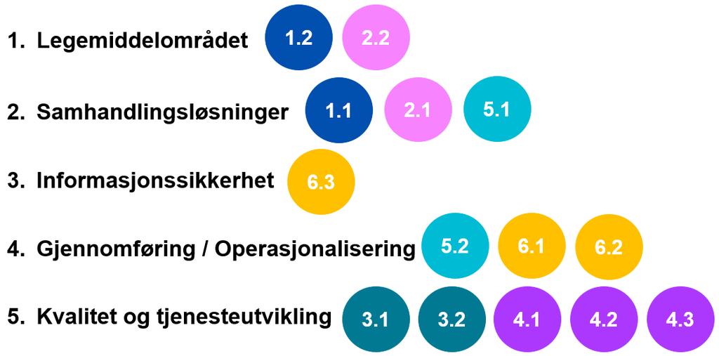 Utover faglige og politiske perspektiver (figur 5) har direktoratet vektlagt innsatsen som går på rammebetingelser og forutsetninger som en del av prioriteringen.