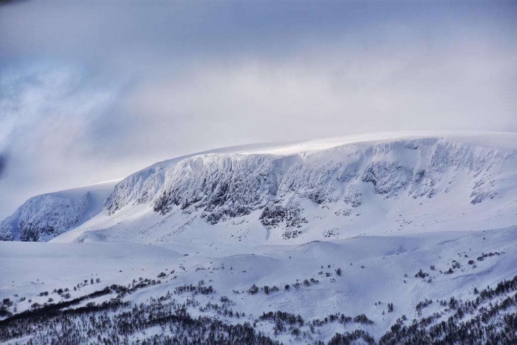 Høreluren