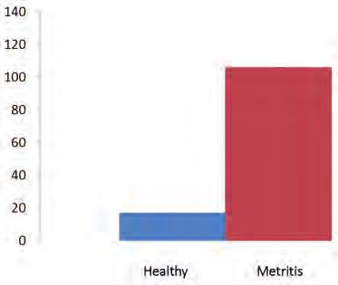 Figur 1. Børbetennelse gir redusert melkeproduksjon langt ut i laktasjonen. Kilde: Huzzey et. Al. 2007, Journal of Dairy Science 90 Figur 2. Kviger med børbetennelse står mye lengre tid i liggebåsen.