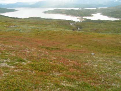 KONSESJONSSØKNAD Sofienlund Vedlegg 4 - Foto