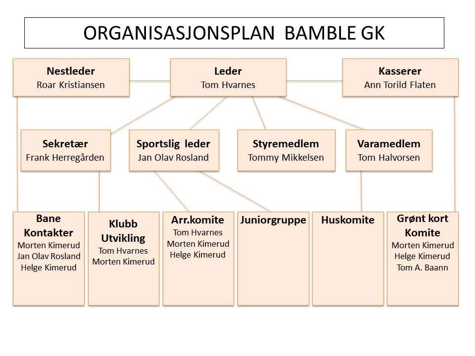 Styrets sammensetning for 2017 har vært: Styret: Leder Nestleder: Kasserer: Sekretær: Arr.