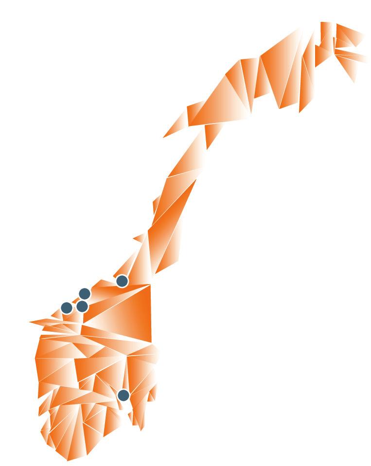 Triangel Business Solutions som din leverandør Vi gir deg trygghet Rådgivere med ledererfaring Kompetanse innen effektivisering av forretningsprosesser Nærmer 20 års erfaring som