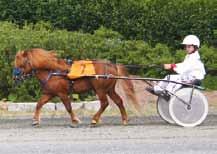 EIGERØY RUBEN NS 0398 NPA 1932 Født 1995, 103 cm 3. premie, Biri 2001 7-8-7-7-7 Stor hingst med noe tungt hode, ledige bevegelser.