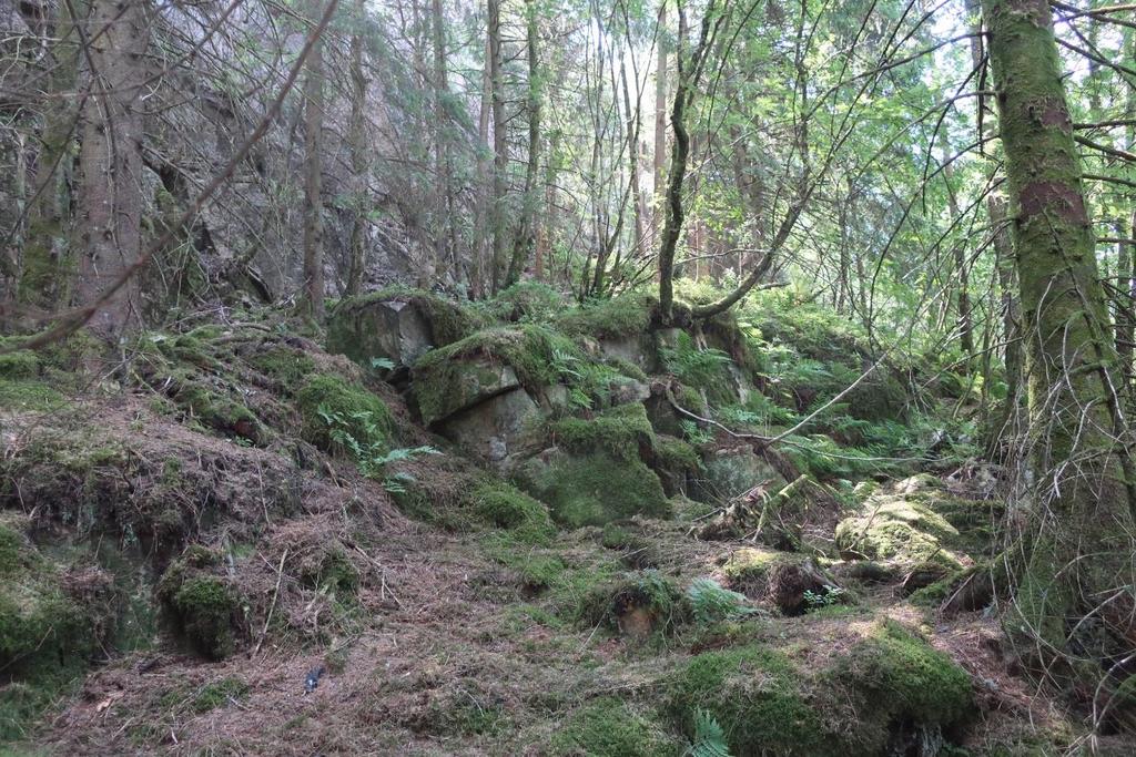 Figur 10: Mosegrodde blokker nedenfor bratt bergvegg i påhuggsområdet for depotet.