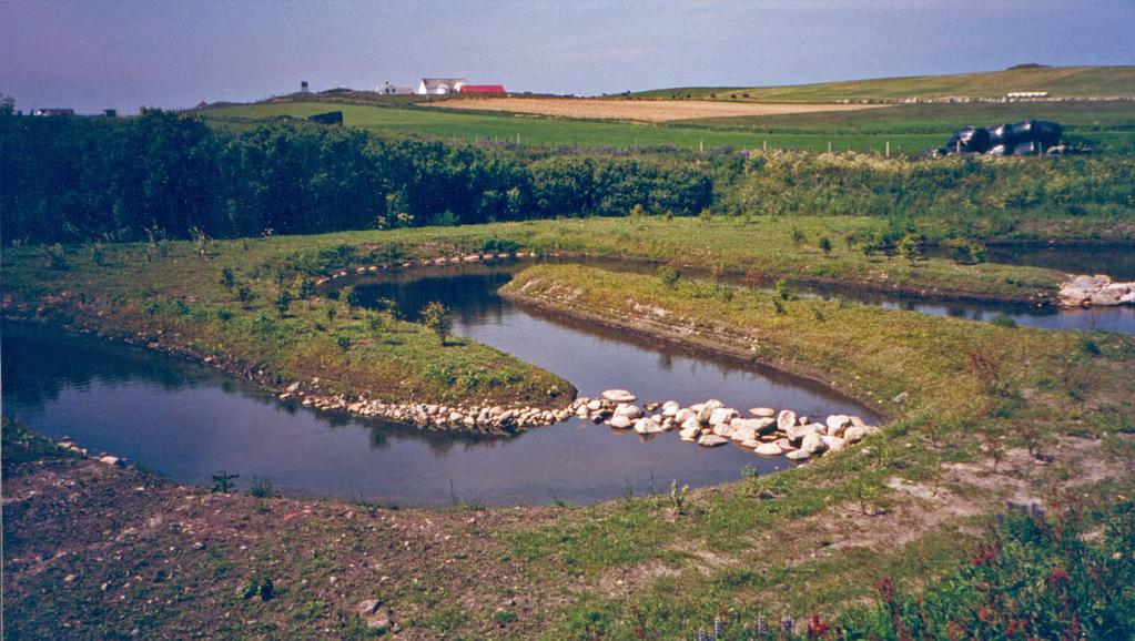 Utforming og plassering i landskapet: Lange smale dammer fungerer best (Bl. a. Braskerud, 1992).