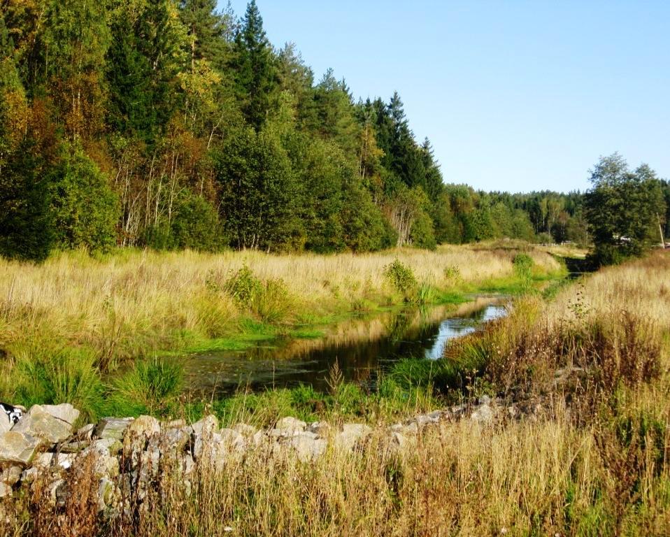 Praktiske råd: Etabler fangdammen i en periode hvor en unngår for mye sedimenttransport i bekken Om det skal graves, og om det er mulig, lag gjerne en «by-pass» Sedimentasjonskammer 20-30 % av FD