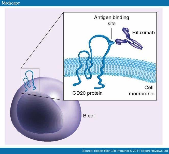 Rituximab