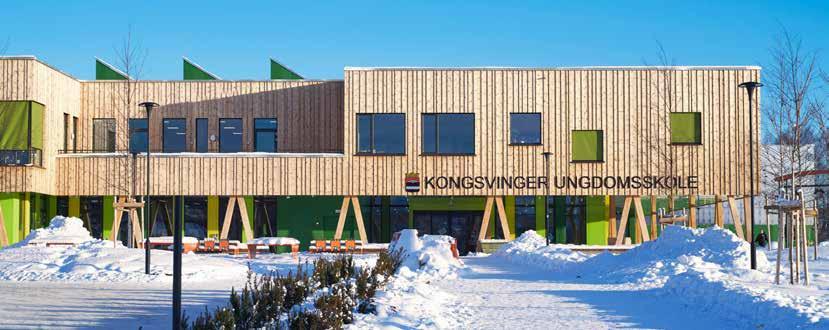 Directors report Facts about Norsk Treteknisk Institutt Norwegian Institute of Wood Technology (Treteknisk) is a private research association for the sawmills and the timber industry in Norway.