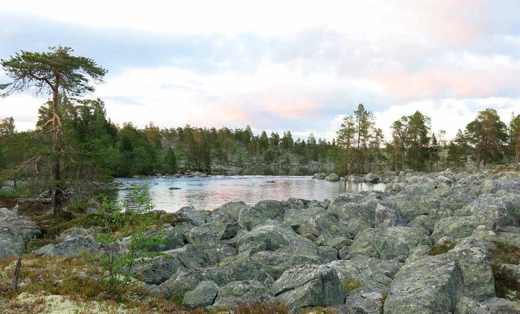 Handlingsprogram 2018-2021 Regional plan for vannforvaltning i de norske delene