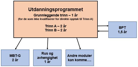 Utdanningsprogram i gruppepsykoterapi og gruppeanalyse Fra starten besto hoved-utdanningen av et fem-årig videreutdanningsløp i gruppeanalyse.