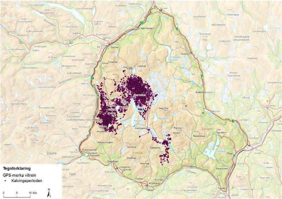 I NINA Rapport 1019 (2015) Villreinens arealbruk i Knutshø, er det (side 56) kart som viser GPS-registreringer av villrein i Knutshø villreinområde i vintersesongen (desember-april) og under