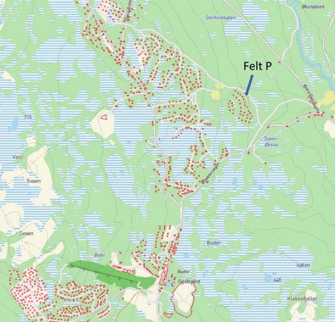 Vår visjon r å utvikl vrdir og oppfyll drømmr.