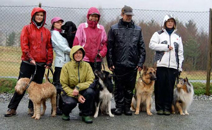 Tekst og foto Grete Olsen Bronsemerkeprøve våren 2010 Vi gratulerer Trude Jacobsen m/ border collie Chaos og Reidar Dahle m/ schäfer Ruska med bestått bronsemerkeprøve.