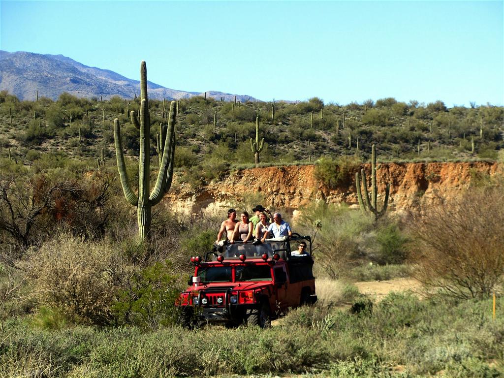 Onsdag 13. november - Mot Tucson Kort gjennomgang av dagens etappe før vi legger i vei. Det er mange ulike alternativer for spennende stopp underveis. Vi kjører til Tucson hvor vi skal bo i to dager.