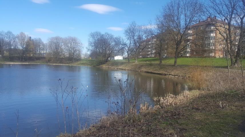 Dammen er soleksponert og damkanten har litt kantvegetasjon i nordre og nordøstre delene av dammen, se figur 3.16. Figur 3.16. Kart over Hovindammen ved Valla Hovin i Oslo. Kartgrunnlag: kartverket.