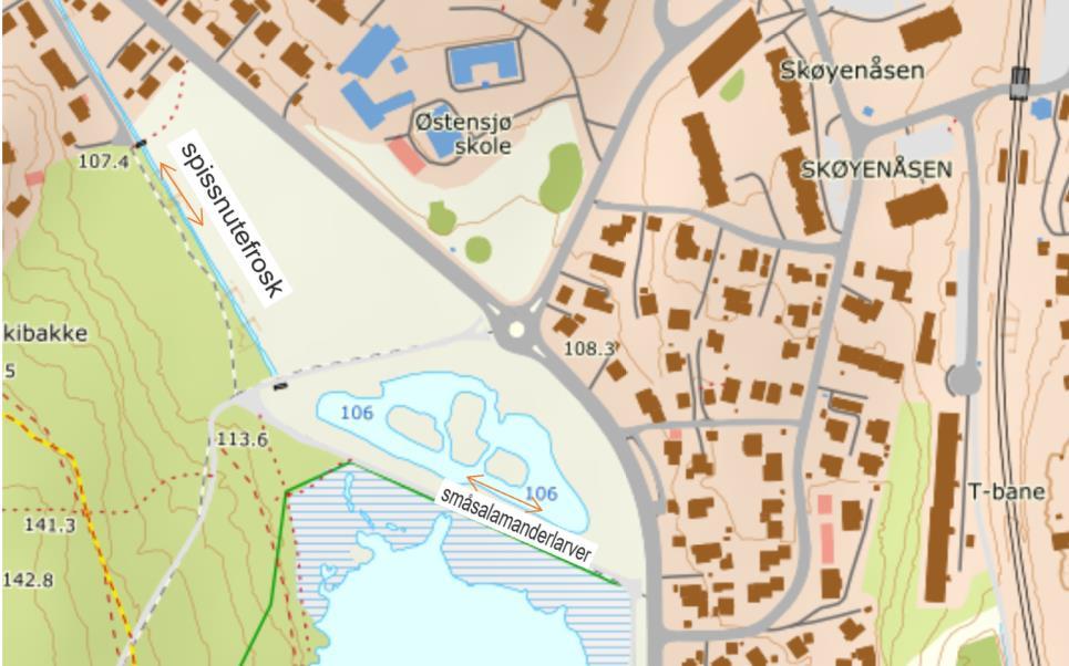 3.9 Vadedammen-Østensjøbekken Vadedammen ble anlagt i 1996 og er et våtmarksområde nord for Østensjøvannet. Dammen er omgitt og dominert av høyvokst sumpvegetasjon.
