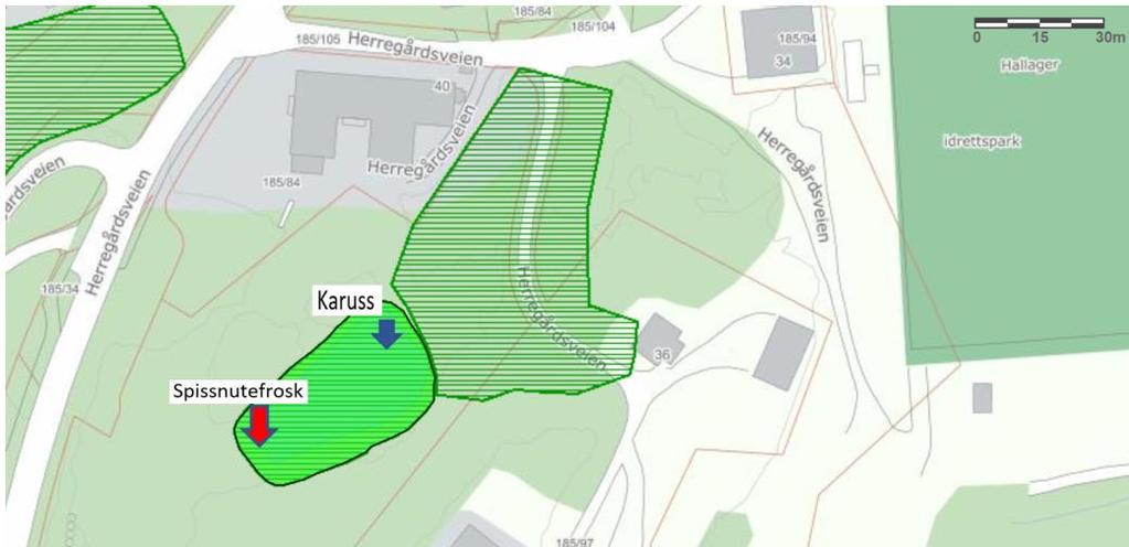 3.3 Øvre Ljan gård ved Herregårdsveien Dammen ligger bak Store Ljan barnehage ved Herregårdsveien (GPS-koordinater: lengde 10.78179, bredde 59.84130).