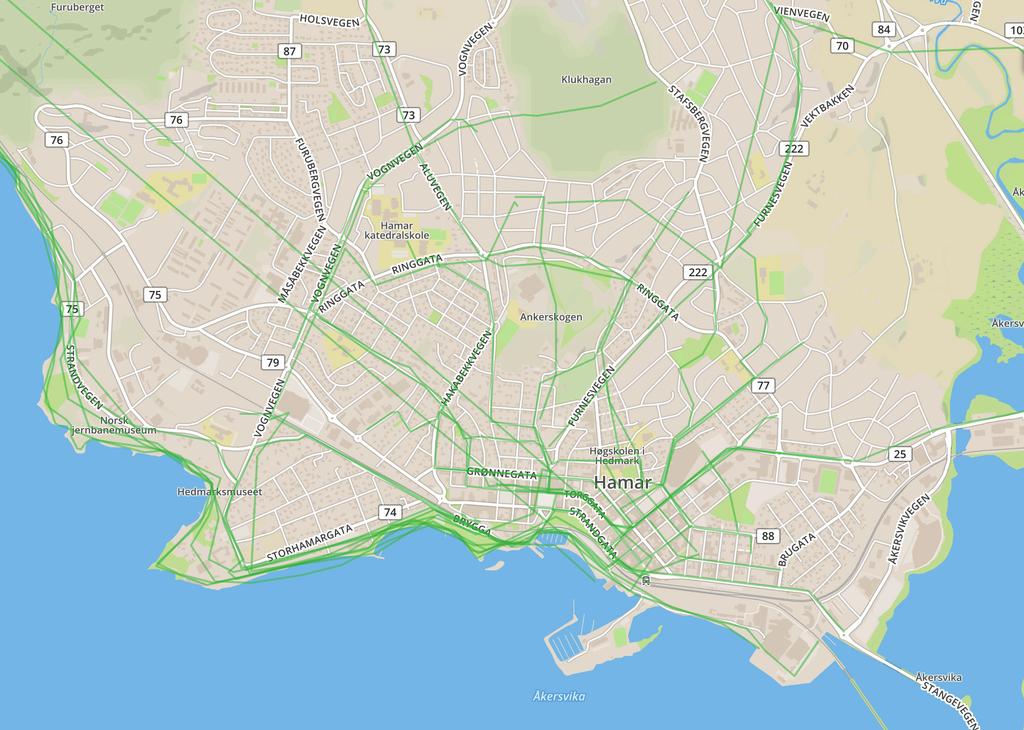 Å sykle i byen Tenk på de rutene i sentrum du pleier å velge når du sykler. Hvor er det fint å sykle i Hamar? Tegn en eller flere ruter på kartet.