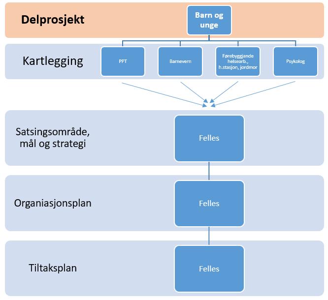 Sikra samhandling med andre relevante delprosjekt, til dømes: Delprosjekt Menneske med nedsatt funksjonsevne Delprosjekt NAV Delprosjekt psykisk helse og rus Delprosjekt skule Delprosjekt barnehage