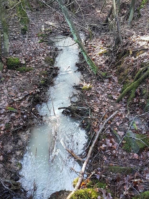 ved utslippspunktet fra sedimentasjonsbassenget er