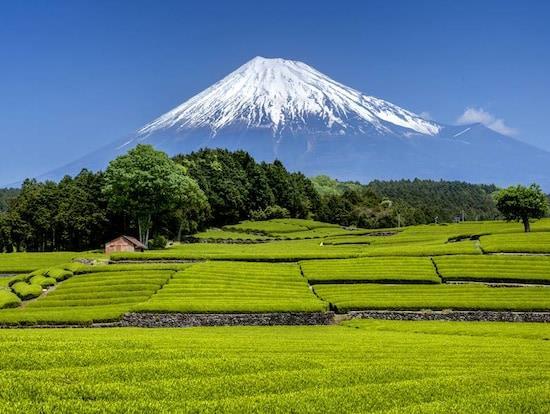 MANDAG Dag 4, HAKONE OG MT FUJI Frokost på hotellet + utsjekk 08:00 Oppmøte i resepsjonen. Fjellvandring! I dag reiser vi ut av byen og senker skuldrene i helt andre omgivelser, til Hakone.