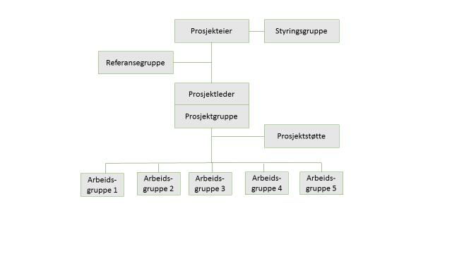 Det regionale arbeidet organiseres som et prosjekt etter følgende modell: Oversikt over deltakerne i de ulike gruppene Se prosjektleders Excelark.