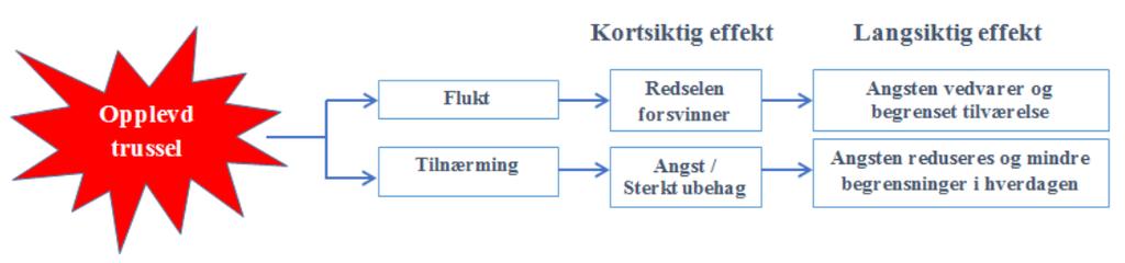 På samme måte fungerer det når noen har en fobi.